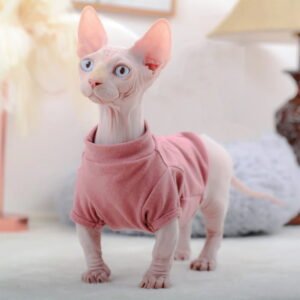 Sự thật đáng yêu về giống mèo không lông Sphynx